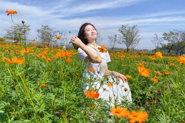 向冉：立志欲堅(jiān)不欲銳，成功在久不在速